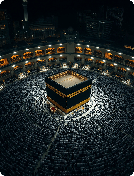 Всё включено